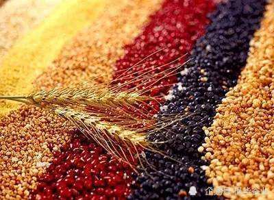 关于脱壳燕麦米那些你不知道的小知识 加工谷物产品的健康秘密