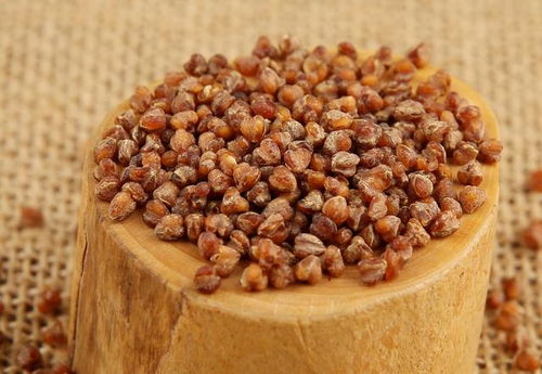 糖尿病别慌张，四种降糖谷类食物敞开吃，告别高血糖烦恼