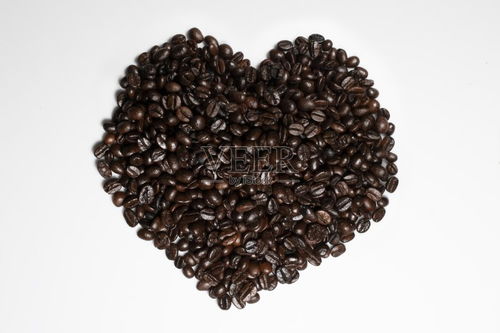 小雪节气养生 6种黑色食物抗病防衰老，助你健康过冬